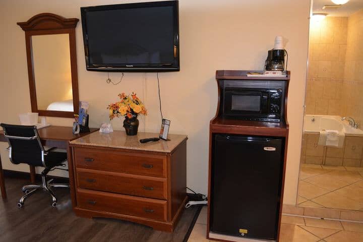 Mini-refrigerator
